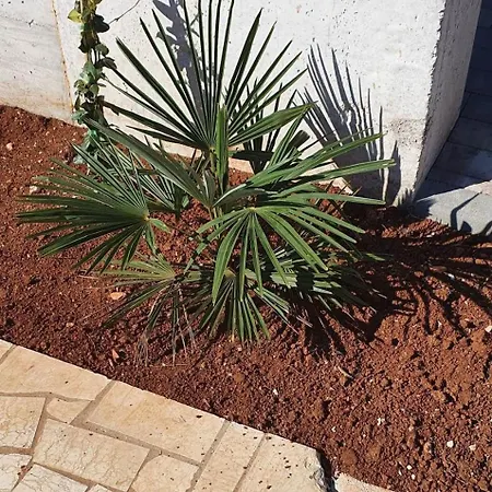 Apartment With Parking Space - 22715 Porec